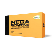 Mega Creatine Monohydrate 1320