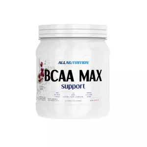 BCAA MAX SUPPORT (500 GR) ORANGE