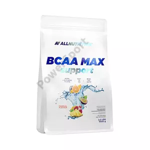BCAA MAX SUPPORT (1000 GR) TROPICAL